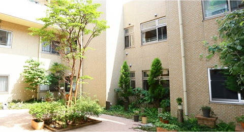 sec1_image
